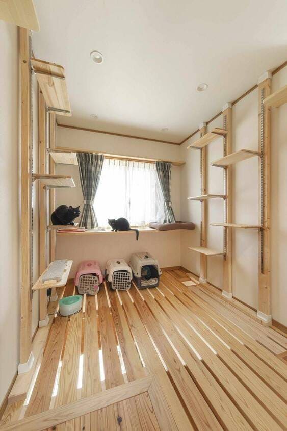 บ้านแมว