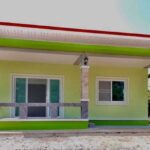 green-tone-house-10